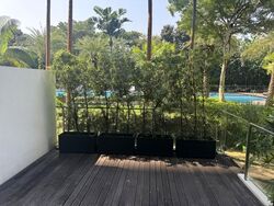 SilverSea (D15), Condominium #605875481